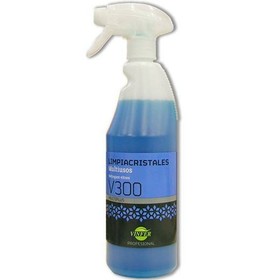 Lasinpesijä VINFER V300