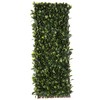 Grotelės Natural Laurel vytelių Bambukas 2 x 200 x 100 cm