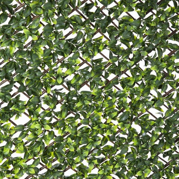 Grotelės Natural Gebenė vytelių Bambukas 2 x 200 x 100 cm