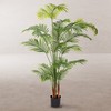 Dekoratīvs Augs Poliuretāns Cements Areca 150 cm