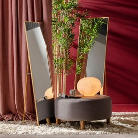 Brīvi stāvošs spogulis Bronza Alumīnijs Stikls 50 x 2,5 x 160 cm