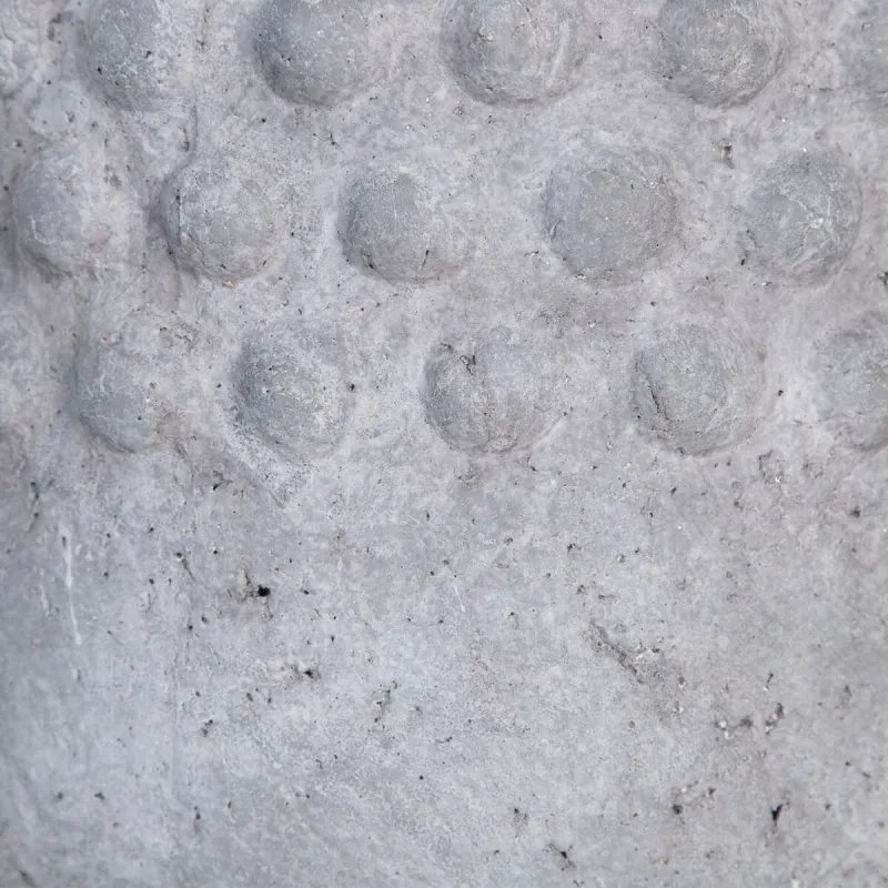 Kasvit 31,5 x 31,5 x 23,5 cm Harmaa Hartsi