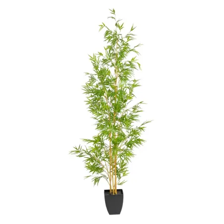Koristekasvi Polyetyleeni Bambu 90 x 86 x 220 cm