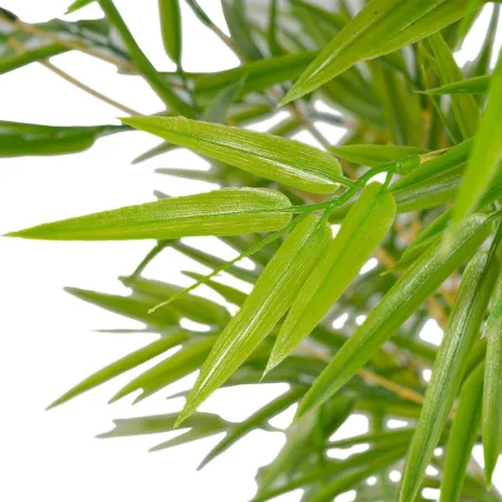Koristekasvi Polyetyleeni Bambu 90 x 86 x 220 cm