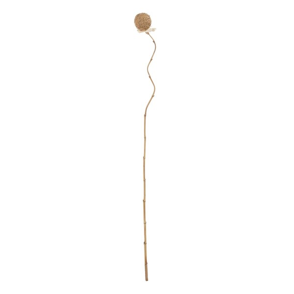 Branch Beige Bamboo Natural Fibre Flower 8 x 8 x 156 cm