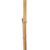 Branch Beige Bamboo Natural Fibre Flower 8 x 8 x 156 cm