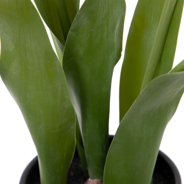 Koristekasvi Polyesteri Polyetyleeni Rauta 11 x 11 x 31 cm