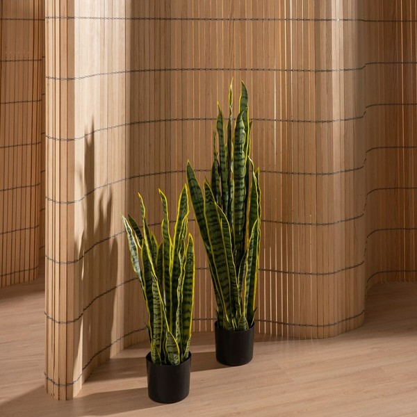 Decorative Plant Rubber polypropylene 20 X 20 X 115 CM