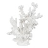 Koristehahmo Valkoinen Hartsi Koralli 17 x 17 x 20 cm