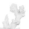 Декоративная фигура Белый Смола Коралл 17 x 17 x 20 cm