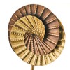 Dekoratīvās figūriņas Daudzkrāsains 17 x 8 x 46 cm