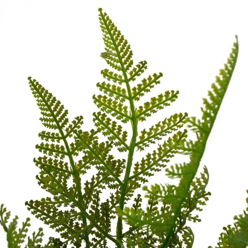 Koristekasvi Polyetyleeni Muovinen Saniainen 26 x 26 x 45 cm