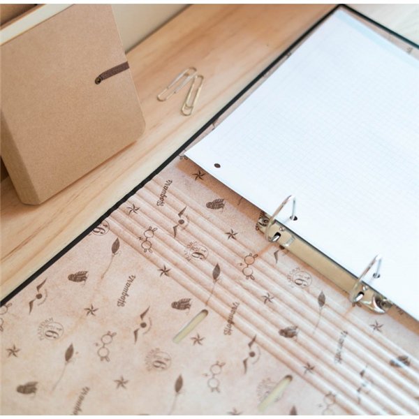 Harry Potter - A4 binder (2 rings, elastic)