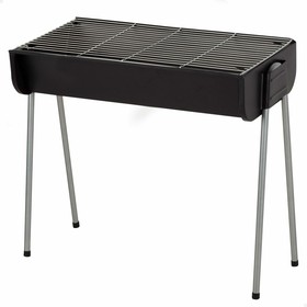 Nešiojamasis Barbekiu Aktive Plienas