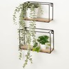 Shelves Max Home Iron MDF Wood (2 Units)
