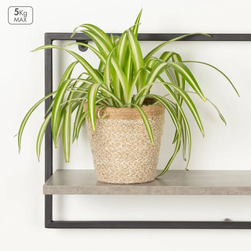 Shelve Max Home Iron MDF Wood 65 X 35 X 20 CM (4 Units)