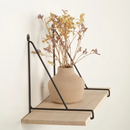 Shelve Max Home Iron MDF Wood 30 X 20 X 14,5 CM (6 Units)
