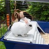 Narvas Ferplast Rabbit 120 Metalinis Plastmasinis 11,8 x 58,5 x 49,5 cm