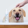 Pet shampoo VETEXPERT                                 250 ml