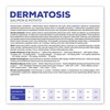 Fodder VETEXPERT Dermatosis Salmon 12 kg