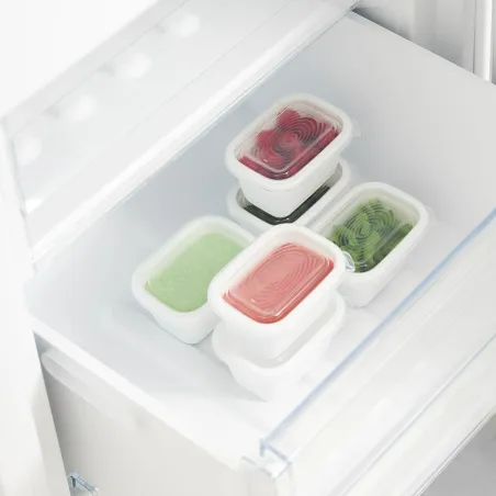 Cat Feeder Rotho Transparent (6 Units)