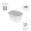Cat Feeder Rotho Transparent