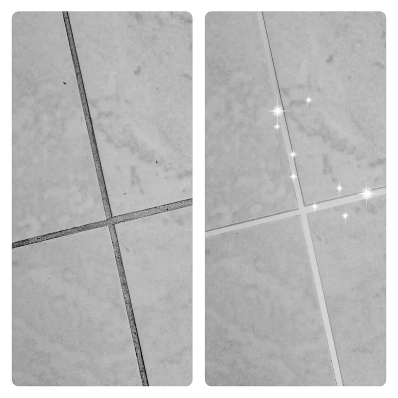 Puhdistusneste Frischer FR00218_1000 1 L
