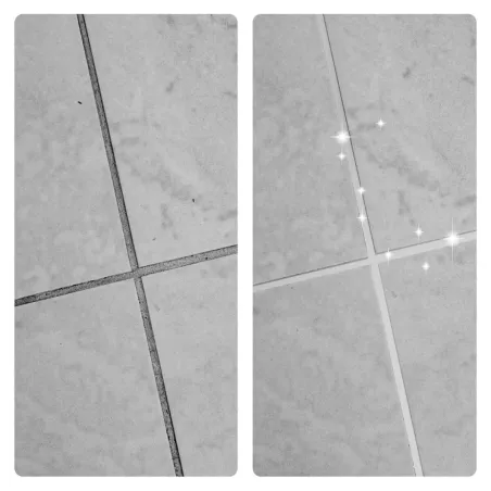 Puhdistusneste Frischer FR00218_1000 1 L