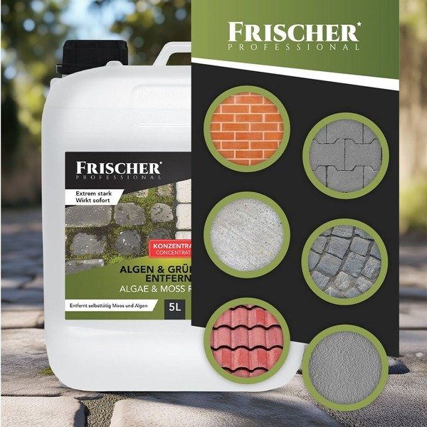 Window Vacuum Cleaner Frischer FR00241_5000