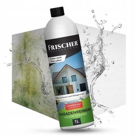 Window Vacuum Cleaner Frischer