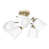 Built-in spotlight Activejet AJE-EMILY 5P GD