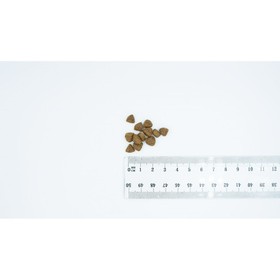 Pašarai Bult Antis 3 Kg