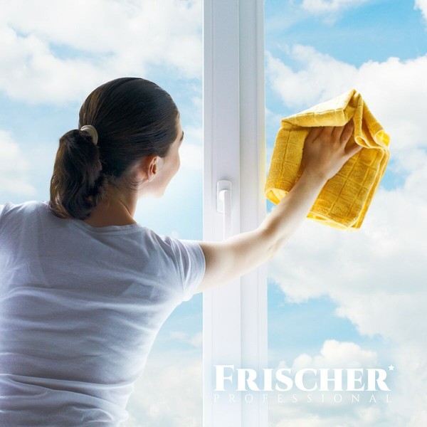 valiklis Frischer FR00233_500 0,5 L