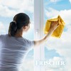 Cleaner Frischer FR00233_500 0,5 L