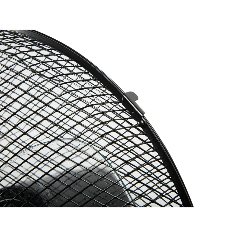 Pedestal Fan with Remote Control Blow 44-076 Aluminium 60 W