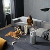 Air purifier Xiaomi Elite