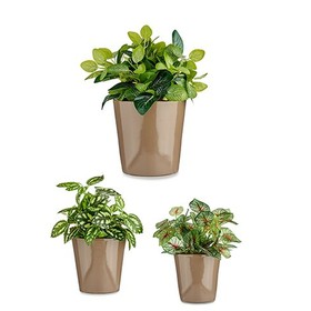 Katlu komplekts Ibergarden Cónica Ø 14 cm Ø 22 cm Ø 17 cm Plastmasa 30 x 40 cm 3 Daudzums (3 Daudzums)