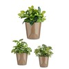 Katlu komplekts Ibergarden Cónica Ø 14 cm Ø 22 cm Ø 17 cm Plastmasa 30 x 40 cm 3 Daudzums (3 Daudzums)