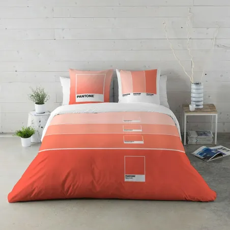Ziemeļu pārvalks Ombre B Pantone