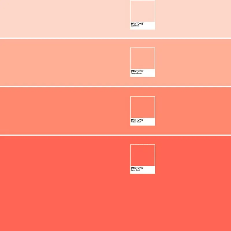 Nordic cover Ombre B Pantone