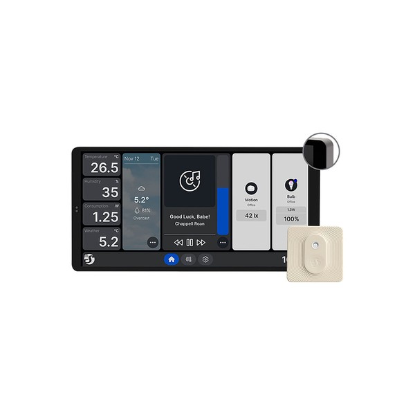 Control panel Shelly WALL DISPLAY X2(SL)+BLUHT(IVO)