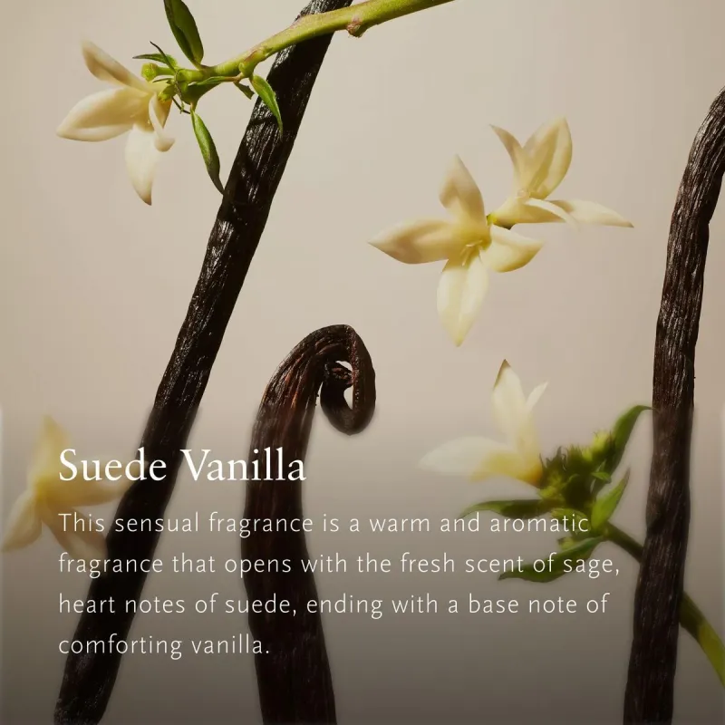 Gaisa atsvaidzinātāja komplekts Rituals Rituals Private Suede Vanilla 3 Daudzums