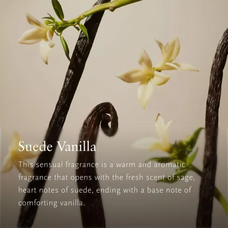 Gaisa atsvaidzinātāja komplekts Rituals Rituals Private Suede Vanilla 3 Daudzums