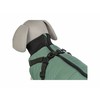 Dog coat Trixie Pontis Green XS