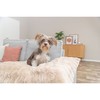 Airbed Trixie Elli Sand 70 x 50 cm