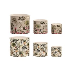 stādītājs Home ESPRIT Zaļš Daudzkrāsains Keramika Tropiskais 13,6 X 13,6 X 11,8 CM (3 Daudzums) (2 gb.)