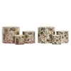 stādītājs Home ESPRIT Zaļš Daudzkrāsains Keramika Tropiskais 13,6 X 13,6 X 11,8 CM (3 Daudzums) (2 gb.)