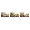 stādītājs Home ESPRIT Brūns Zaļš Keramika Cottage 13,6 X 13,6 X 11,8 CM (3 Daudzums) (3 gb.)