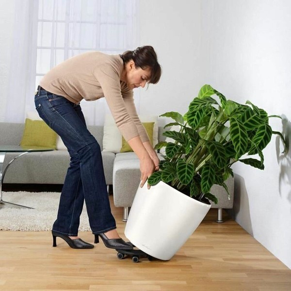 Pašlaistīšanas katls Lechuza Balts Ø 49,5 x 46,5 cm Plastmasa