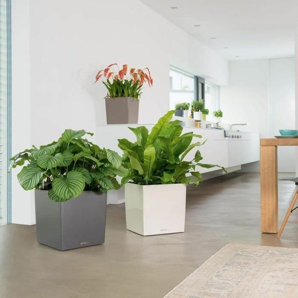 Pašlaistīšanas katls Lechuza Balts 40 x 40 cm polipropilēns Plastmasa